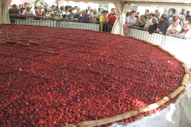 Strawberry Celebration in the Limousin