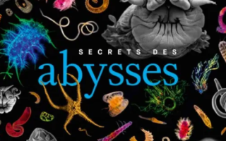 Secrets of the Abysses