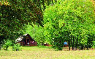 Green France: Clef Verte & Saving Toads