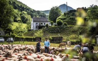 Béarn: A Hidden Historic Gem
