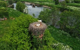 Global Birdfair 2024: See France’s Fabulous Wildlife