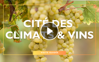 Visites Guidées – Cité des Climats & Vins