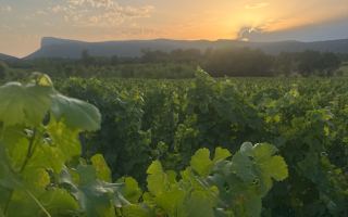 Dine Under the Stars with a Celebrity Chef  