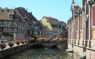 Carnet de Voyage: Wine Route