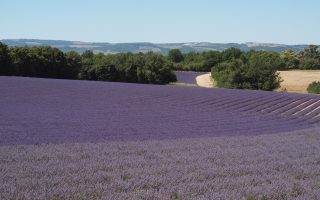 Carnet de Voyage: Unknown Luberon 