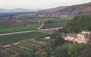 Excerpt: The Book of Rosé