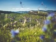Savoring the Flavors of France: Exploring the Vallée de la ...
