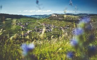 Savoring the Flavors of France: Exploring the Vallée de la Gastronomie