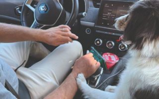 Driving in France: Lessons in French Life