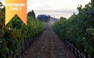 Château Sainte Marguerite en Provence : A Nighttime Harvest en famille