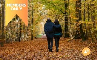 Seasonal Sayings: French Autumn Traditions and Useful Phrases for Fall 