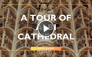 Exploring the Sainte-Cécile Cathedral in Albi