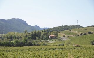 Tasting the Liqueur Wines of the Roussillon