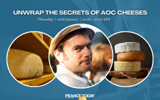 Unwrap the Secrets of AOC Cheeses
