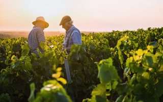 Where to Buy Wine in France
