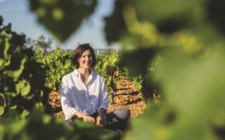 Languedoc’s Wine-Making Colossus: Corbières
