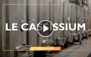 Visites Guidées – Le Cassissium