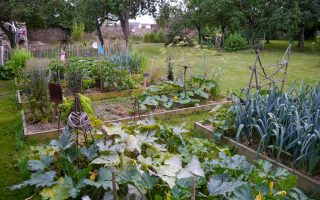 Carnet de Voyage: When I’m… 63?  
