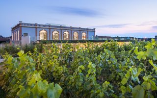 10 Reasons to visit Pressoria