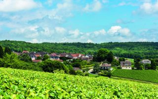 Following the Champagne Trail in Hautvillers