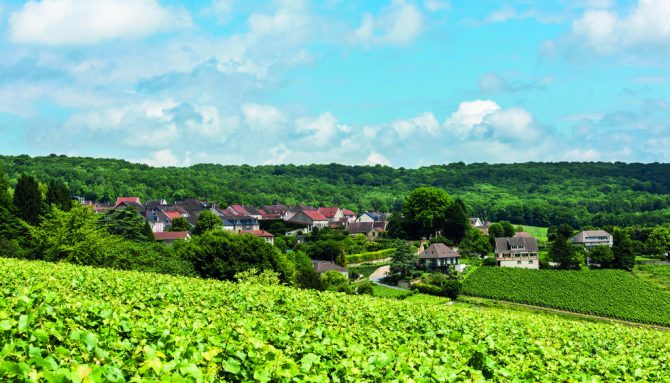Following the Champagne Trail in Hautvillers
