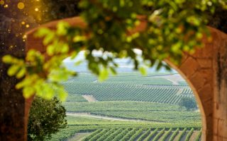 9 Reasons to Visit the Cognac Area