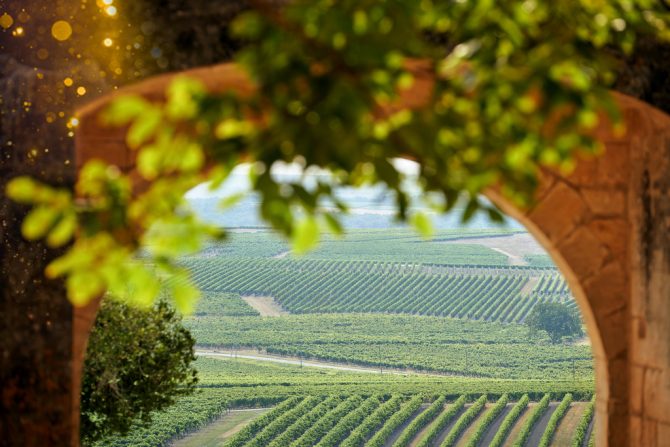 9 Reasons to Visit the Cognac Area