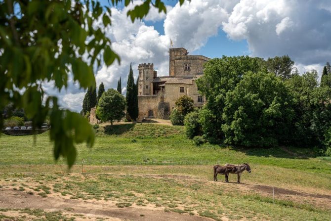 A Weekend in the Luberon