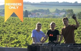 Une Journée Avec…a Family Winery in Chateauneuf-du-Pape