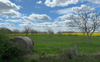 Carnet de Voyage: a Beautiful Disorientation 