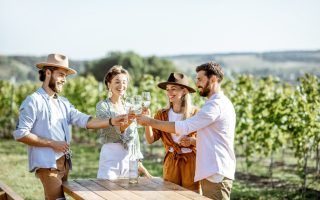 Go on a Picnic with a French Winemaker
