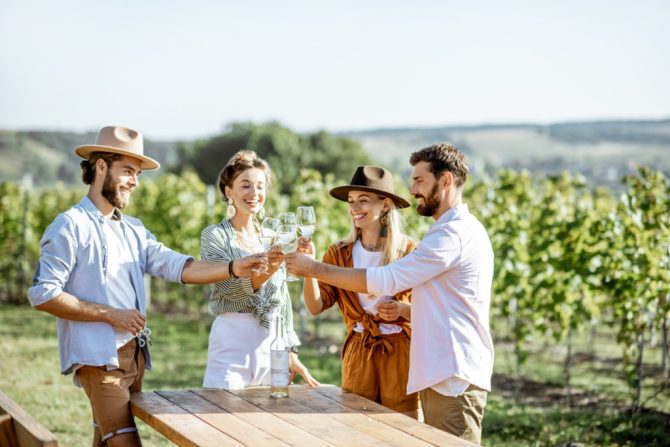 Go on a Picnic with a French Winemaker