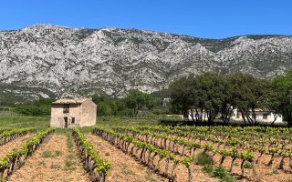 Cycling Cézanne’s Mountain
