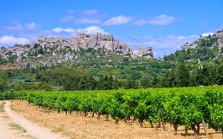 Join the Celebration: 30 Years of Organic Wine in Les Baux de Provence 