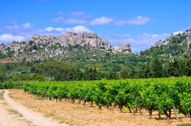 Join the Celebration: 30 Years of Organic Wine in Les Baux de Provence 