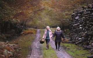 French Film Review: Quand Vient l’Automne