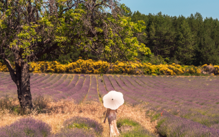 6 Reasons Collectors and Designers Turn to Provence for Antiques
