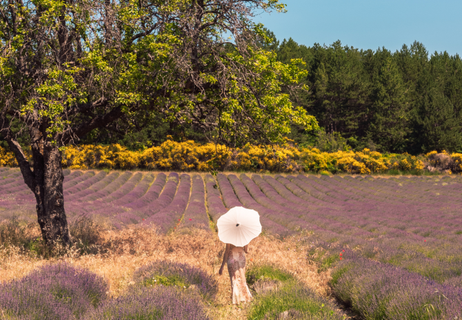 6 Reasons Collectors and Designers Turn to Provence for Antiques