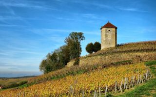 What to See and Do Around Dole in the Jura 