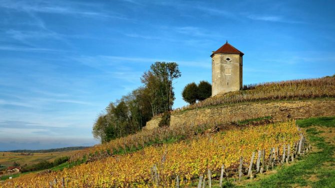 What to See and Do Around Dole in the Jura 