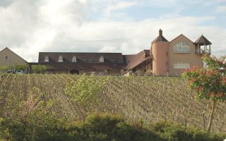 Burgundy’s Most Enigmatic Wine