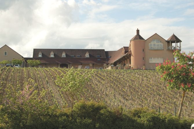 Burgundy’s Most Enigmatic Wine