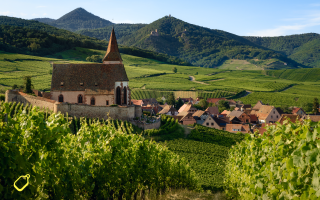 Bordeaux pleasures: a gourmand’s guide to tax-free gourmet souvenirs