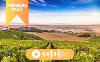 Sparkling Escapes: Discover France’s Champagne Region