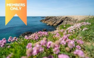 Off-Season Delights in Brittany’s Quiberon Peninsula
