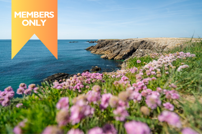 Off-season Quiberon on the Wild Coast