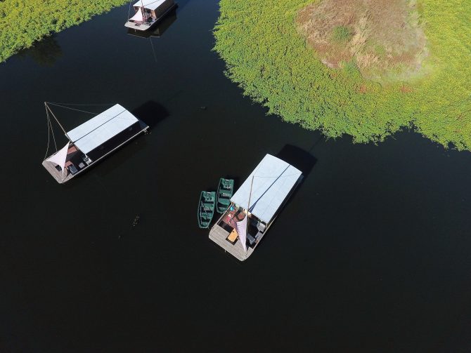 The Rise of Eco-Retreats in Rural France