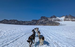 La Grande Odyssée: Europe’s Dog Sledding Competition