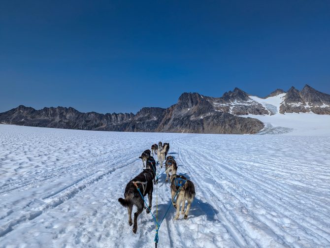 La Grande Odyssée: Europe’s Dog Sledding Competition