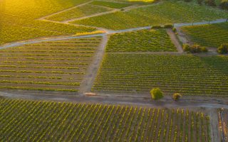 The Soul of Châteauneuf-du-Pape’s Wine Region